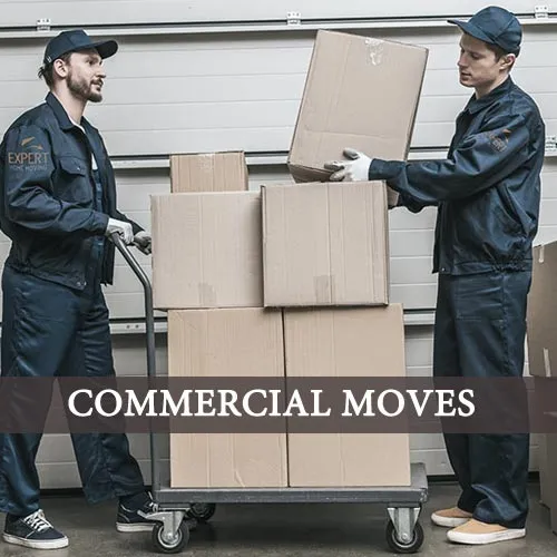COMMERCIAL MOVES